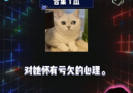 吃瓜娱乐中心官网,带你走进娱乐圈的幕后风云