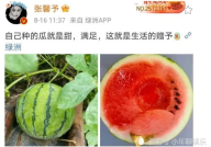 娱乐圈的瓜可以吃,揭秘明星幕后故事