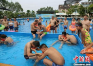 吃瓜泳池网红,网红们的夏日狂欢